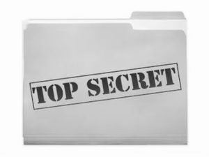 Что входит в тайный отчет